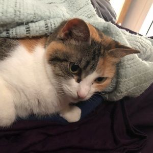 Meet your Posher, Bonnie